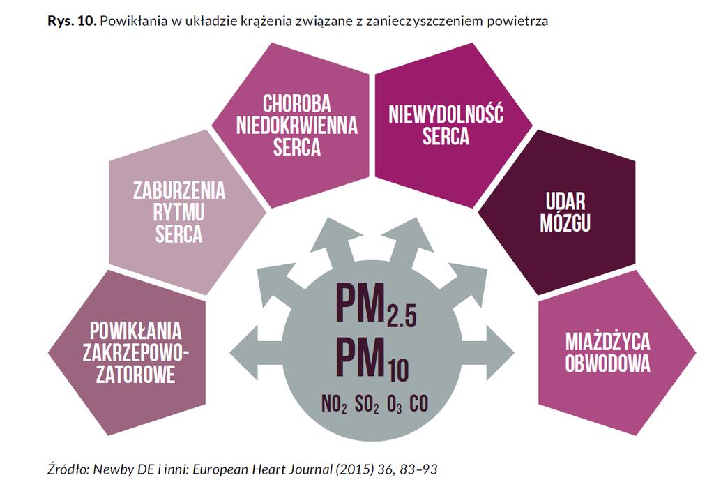 Wpływ ZP na układ krążenia (rys. str.