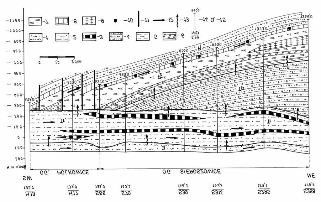 Modelowanie przemian sk³adu chemicznego wód podziemnych permskiego piêtra wodonoœnego... 155 Fig. 2.