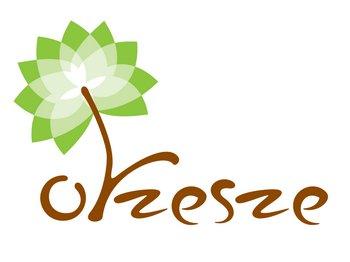 Załącznik Nr 1 do Sprawozdania Burmistrza Miasta Orzesze z dnia 24 marca 2016 r.