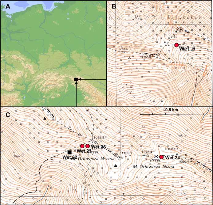 Fig. 1. Neolithic sites on the Połonina Wetlińska (Bieszczady Mountains).