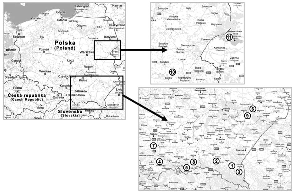 460 Ewa Maria Pawlaczyk, Izabela Kroplewska, Maria Anna Bobowicz 1. Lesko 2. Rymanów 3. Krościenko 4. Łopuszna 5. Krynica Zdrój 6. Zwierzyniec 7. Myślenice 8. Łabowiec 9. Kamienna Góra 10. Jata 11.