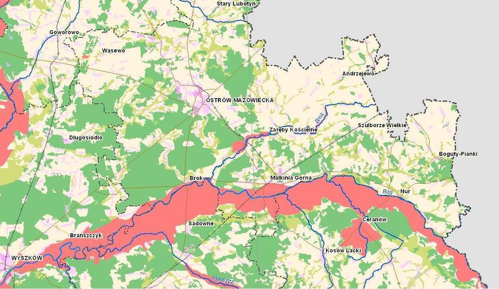 Polski RYS 2.
