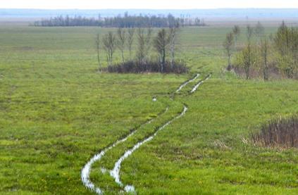 Instytut Geografii i Przestrzennego