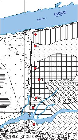 188 L. Winkler, M. Trzaskoœ, G. Kamiñska, R. Malinowski do obojêtnego, wysok¹ zasobnoœæ przyswajalnego dla roœlin fosforu i magnezu oraz bardzo nisk¹ przyswajalnego potasu.