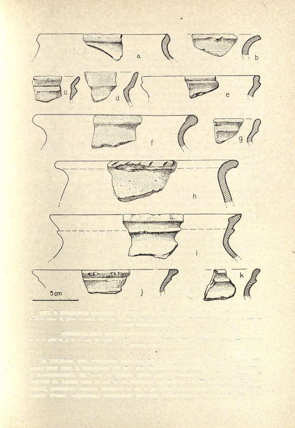 BADANIA POSZUKIWAWCZE NAD ŚRODKOWYM SANEM 263 Ryc. 5. Fragmenty ceramiki z badań powierzchniowych na obszarze Dynowa: a e stan. 9; f h stan. 10; i h stan.