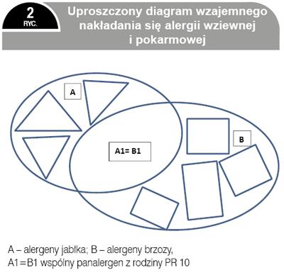 W 2006 roku udowodniono, że stężenia Mal d 1 podczas przechowywania w różnych (z założenia optymalnych) testowych warunkach przez 5 miesięcy wzrastały od 3,5 do 8,5 razy[7].