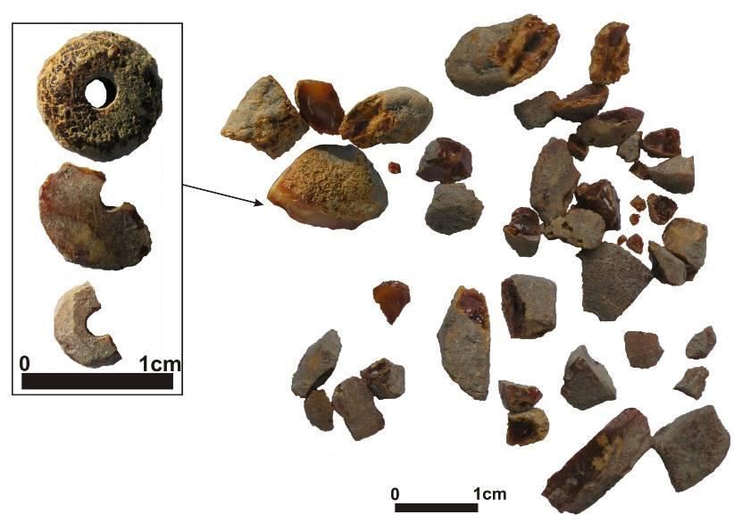 wskazują odkrycia dużej ilości surowca do produkcji wyrobów bursztynowych.