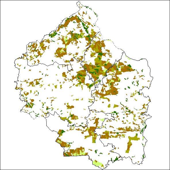 WYKORZYSTANE DANE baza danych o pokryciu terenu CORINE