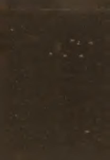 1919, rocznik II, nr 4, strona 185 187. Podpisał się Loncensis. M a teriał czerpał z Palackiego Dejiny narodu czeskeho, cytuje dalej Tacyta, Liwiusza, Strabona etc. W ierzb a.