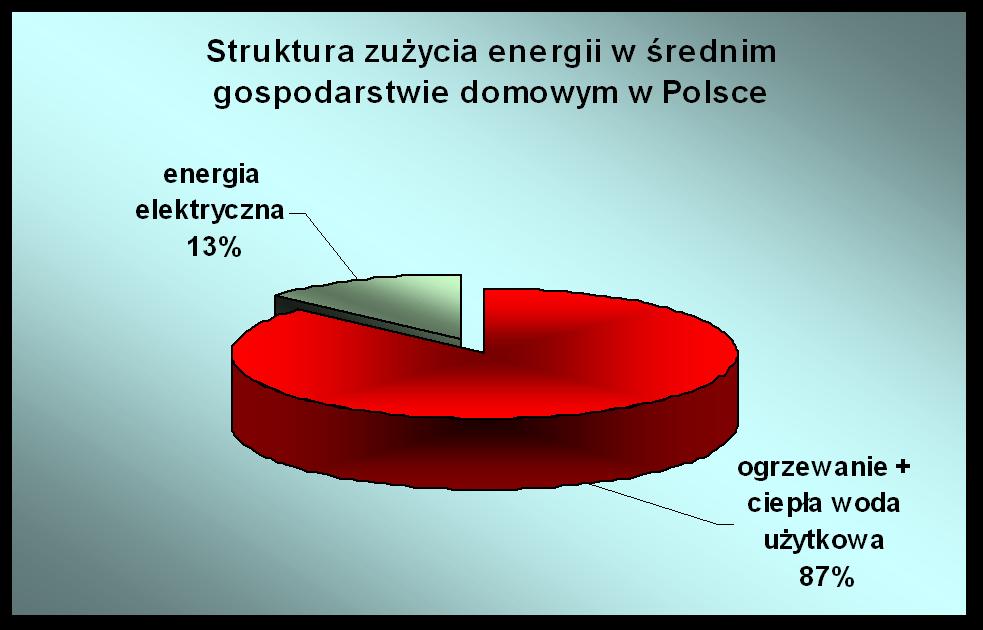 Energia w domu i nie tylko Na co zużywamy energię?
