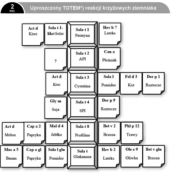 Diagnostyka alergii na ziemniaki W klasycznym opisie przypadku z roku 1999 gospodyni domowa w średnim wieku, z cechami atopii oraz poprzednio występującym AZS zgłaszała objawy zapalenia spojówek,
