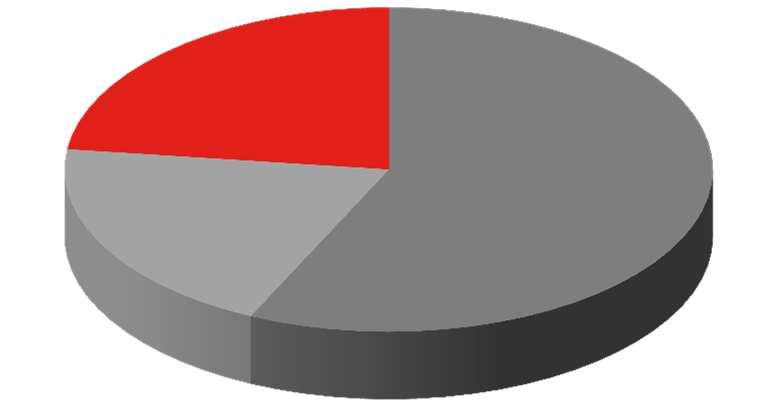 Fundusze inwestycyjne FUNDUSZE INWESTYCYJNE - WOLUMENY (mln zł) STRUKTURA AKTYWÓW PPIM SA +16.2% +1.