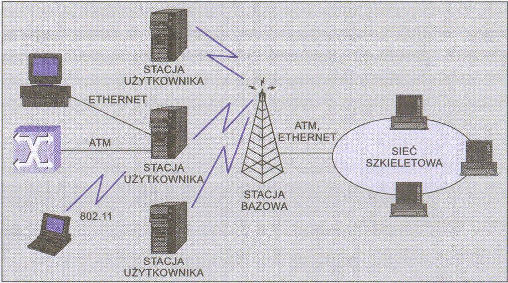 Topologie sieci WiMAX Topologie sieci IEEE 802.