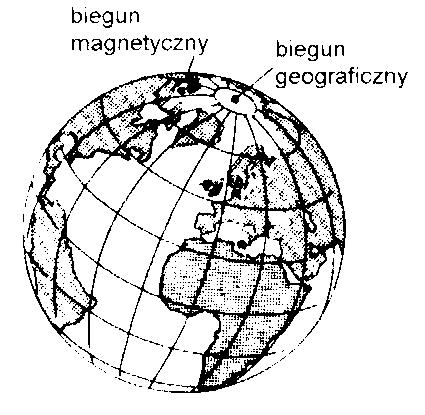 11. Igła magnetyczna kompasu (busoli) wskazuje swoim biegunem północnym E. północny biegun geograficzny Ziemi F. północny biegun magnetyczny Ziemi G. południowy biegun geograficzny Ziemi H.