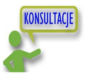 UDZIELANIE POMOCY PRZEZ MIASTO ORGANIZACJOM W NAWIĄZYWANIU KONTAKTÓW MIĘDZYNARODOWYCH, ZWŁASZCZA Z MIASTAMI PARTNERSKIMI I ZAPRZYJAŹNIONYMI Miasto Rybnik na bieżąco współpracuje i utrzymuje kontakty