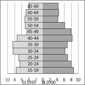MAŁGORZATA PODOGRODZKA NOWE UWARUNKOWANIE DEMOGRAFICZNE WYZWANIEM DLA RYNKU PRACY W POLSCE 349 Rysunek 1.
