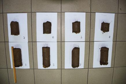 144 P. Kacorzyk, M. Kasperczyk (tab. 1). Na kolejnych miejscach pod tym względem plasowały się wiechlina łąkowa 74,9%, kupkówka pospolita (70,6%) i tymotka łąkowa (70,2%).