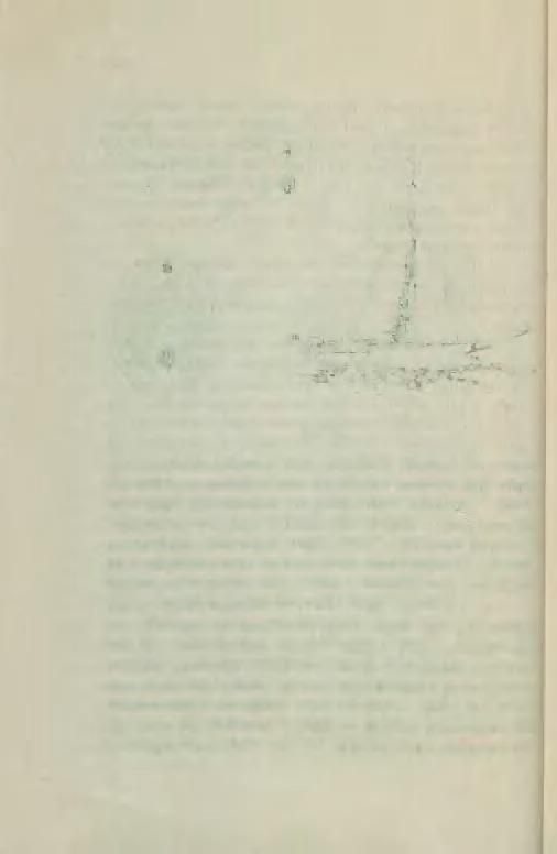 96 / r Rys. 73. C żagle dodatkowe.