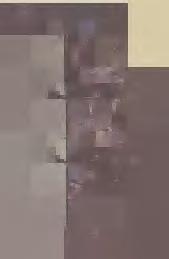 .. ~ ~-..: ~,-._ :,.