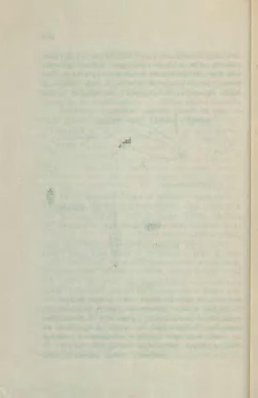 154 wietrznej i t. p.), to staramy się zmniejszyć szybkość do minimum. Członek załogi.