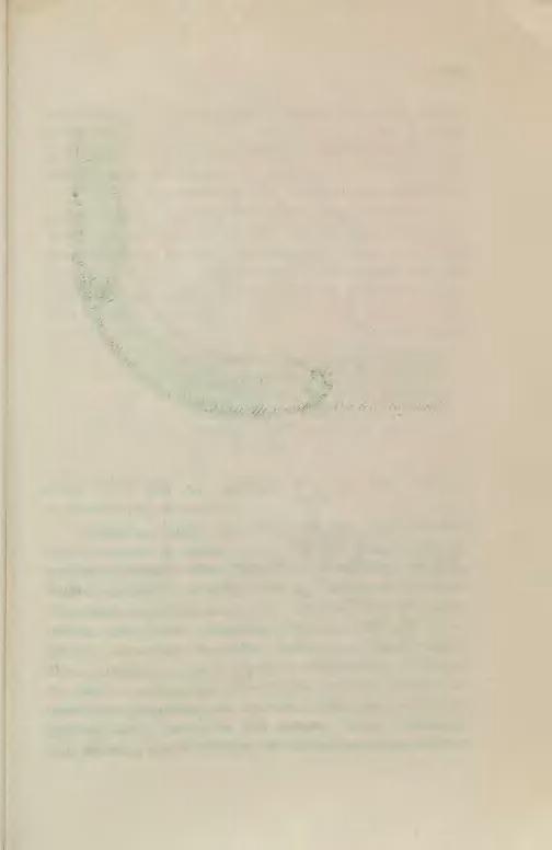 191 Rys. 120. szedł obok niej jak najbliżej, aby rufą nie zaczepić o przeszkodę zewnętrzną.