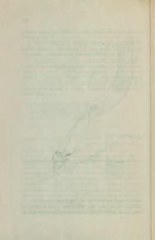 192 wadzić rufą, lub nagle w nocy ukaże się z zawietrznej boja i t. p.).