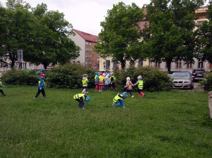 Cebulki by³y sadzone praktycznie wszêdzie, dlatego te pierwsz¹ myœl¹ naszych przedszkolaków by³a chêæ posadzenia takich cebulek w naszym przy przedszkolnym ogródku, wœród innych kwiatów i