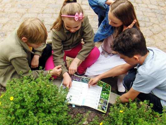 Szko³a Podstawowa Nr 41 Edukacja ekologiczna poprzez dzia³anie 9 W szkole podstawowej edukacja ekologiczna to obszar, który na sta³e zosta³ wpisany do programów nauczania na wszystkich poziomach