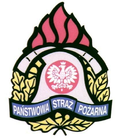 .. ZATWIERDZAM KOMENDA POWIATOWA PAŃSTWOWEJ STRAŻY POŻARNEJ W STASZOWIE INFORMACJA Z REALIZACJI ZADAŃ ORAZ STANU BEZPIECZEŃSTWA POŻAROWEGO I WYSTĘPUJĄCYCH