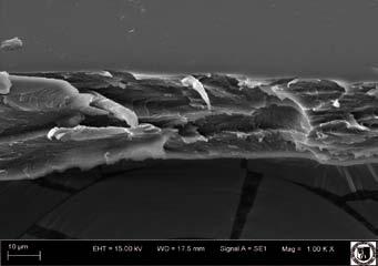 Rys. 6. Elektronogram powłoki z chitozanem i -proc. zawartością glicerolu (wariant 1) Fig. 6. Electronogram of coating with chitosan and glycerol % (variant 1) Rys. 8.