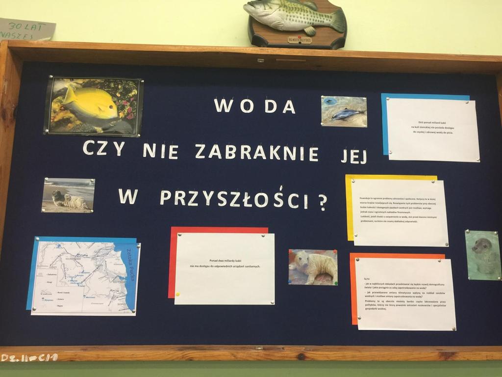 Zrównoważony rozwój, a racjonalna