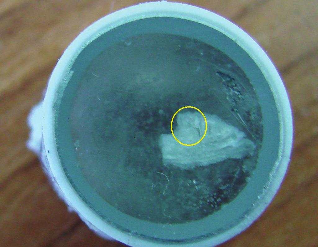 J Stoma 2013; 66, 1 Gibek J., Pawłowska E., Klimek L., Szczepańska J. Fig. 1. Bone block containing the transgenic mouse molars embedded in epoxy resin Epidian yellow arrow marked the first tooth.