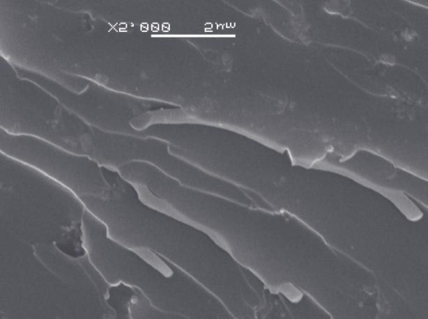 5 wt % content of fillers. Analysis of geometric accuracy The obtained composite gear wheels were analyzed with coordinate measuring technique in terms of shape and dimensional accuracy.
