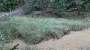 Odcinek drugi od linii kolejowej łączącej Szczakową z Bukownem do linii oddziałowej (tzw. Cesarski Gościniec) pomiędzy oddziałami lesnymi 52 i 53 leśnictwa Sławków (Nadl. Chrzanów).