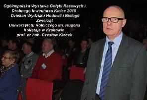 W tym czasie we Wrocławiu był problem z wystawieniem kilku kur.