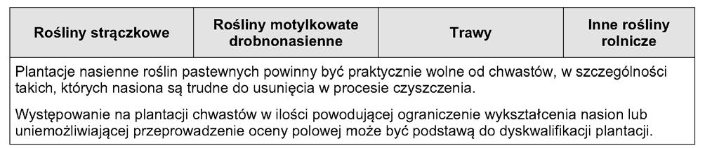 czystoêç