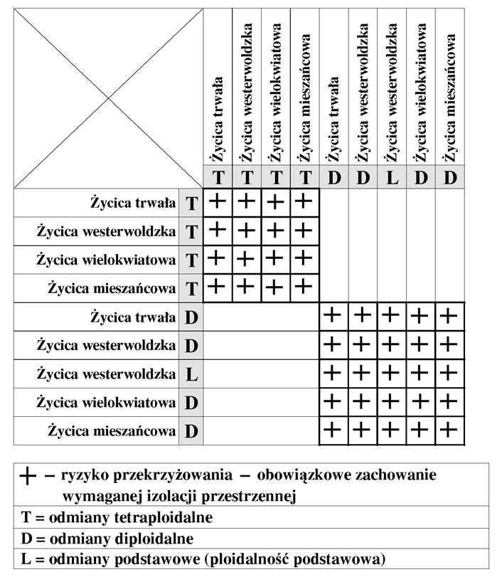 SCHEMAT KRZY OWANIA SI GATUNKÓW