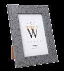 Pachira wodna - 9,99/szt. wys.
