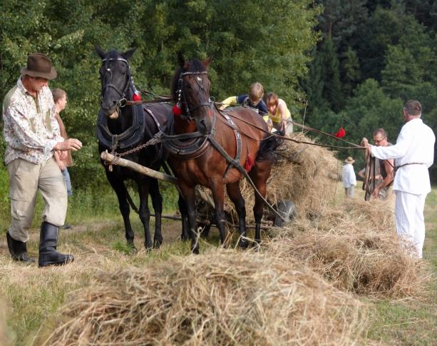 Czerwiec 0 Konrada, Jakuba Marianny, Marcelina Andrzeja, Bratumiła Karola, Franciszka Walerii, Bonifacego Pauliny, Norberta Antoniego, Lucjana 0 Florentyny, Bogny Marii, Władysława Roberta, Wiesława