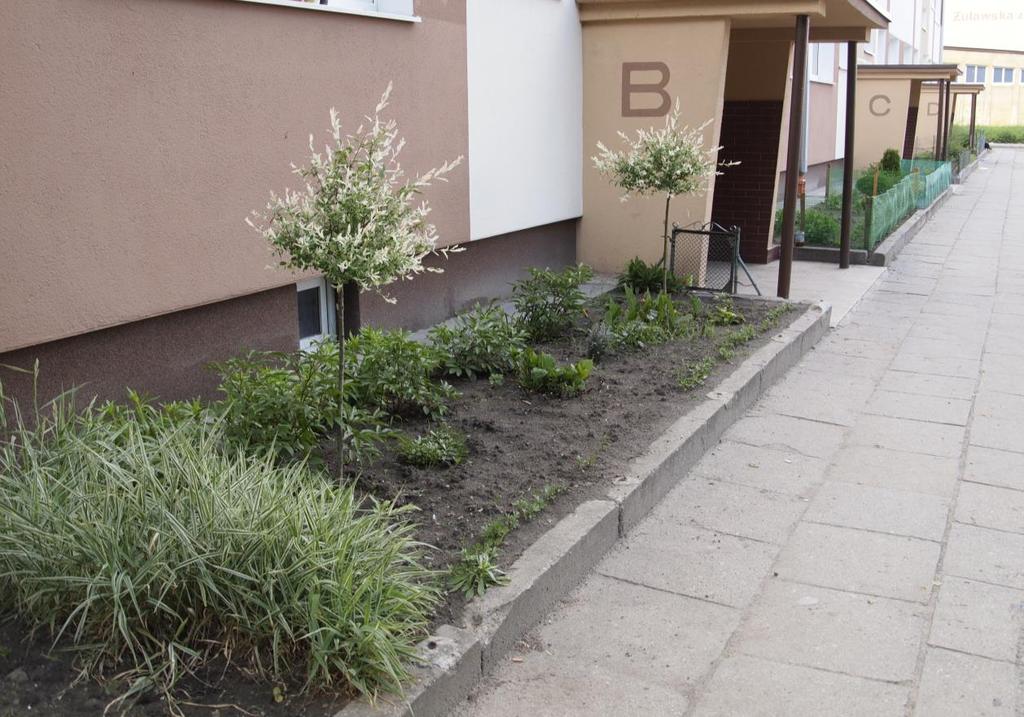 5 Widok na południową ścianę