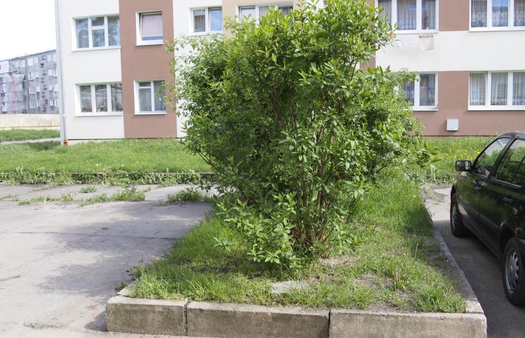 Fot. 8 Widok od strony północnej ul.