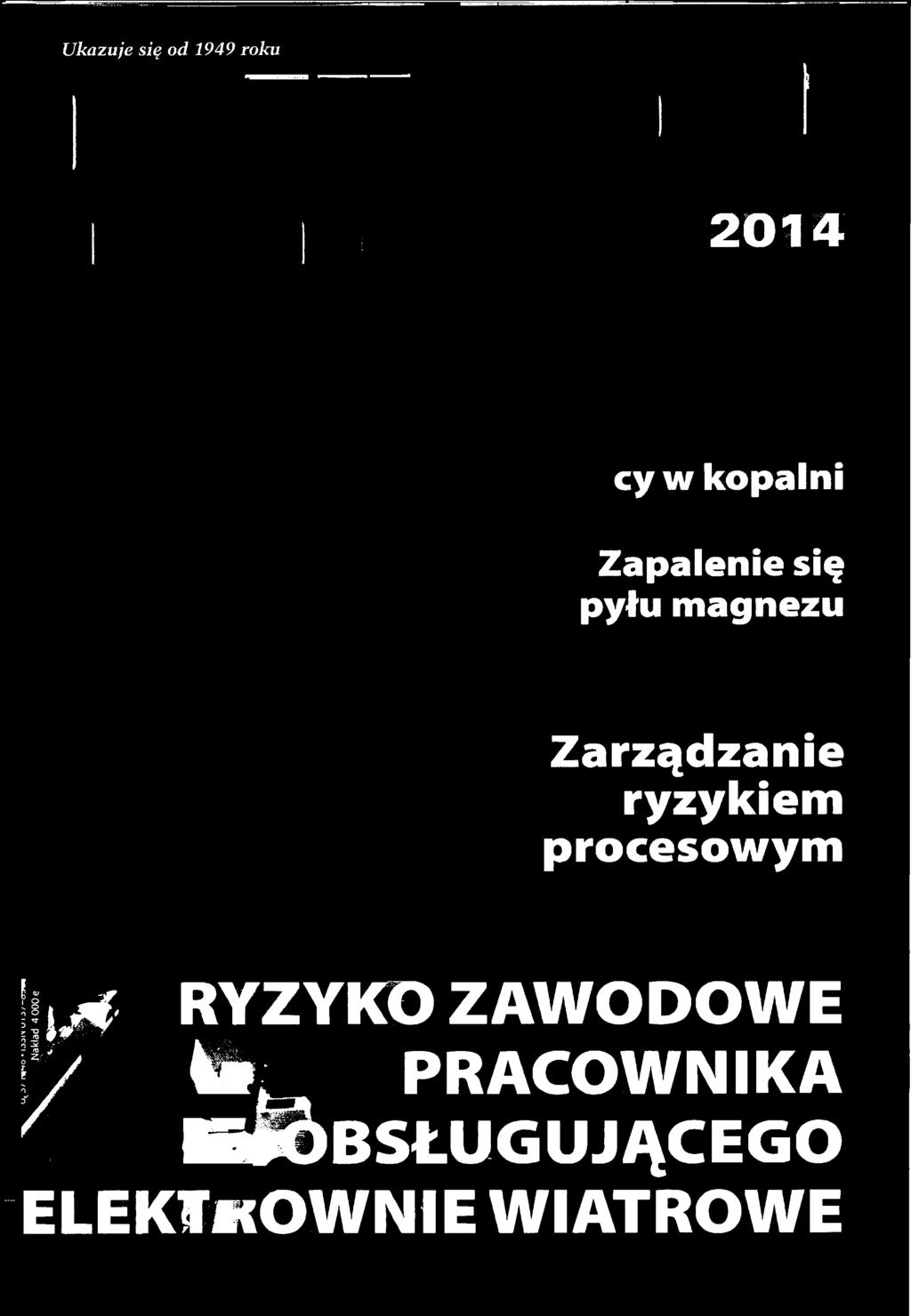 RYZYKO ZAWODOWE fy W /
