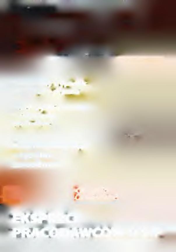 * - rifltlim r Tufii lilimnbibwlih Prace