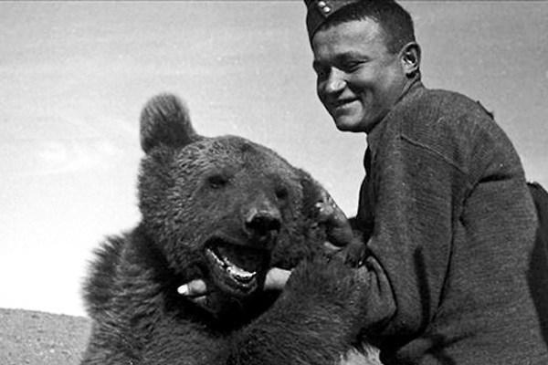 NIEZWYKŁY NIEDŹWIEDŹ Opowiem wam historię niezwykłego niedźwiadka. Nie chodzi mi o Kubusia Puchata tylko o misia Wojtka - żywą maskotkę polskich żołnierzy generała Andersa.