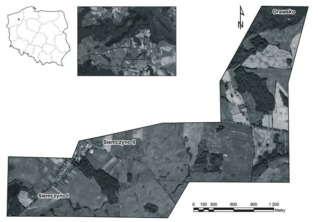 B. Kruczkowska i in. Ryc. 3. Lokalizacja obszaru badań (opracowanie: Przewoźna 2012). Fig. 3. Location of the study area (elaborated by: Przewoźna 2012).