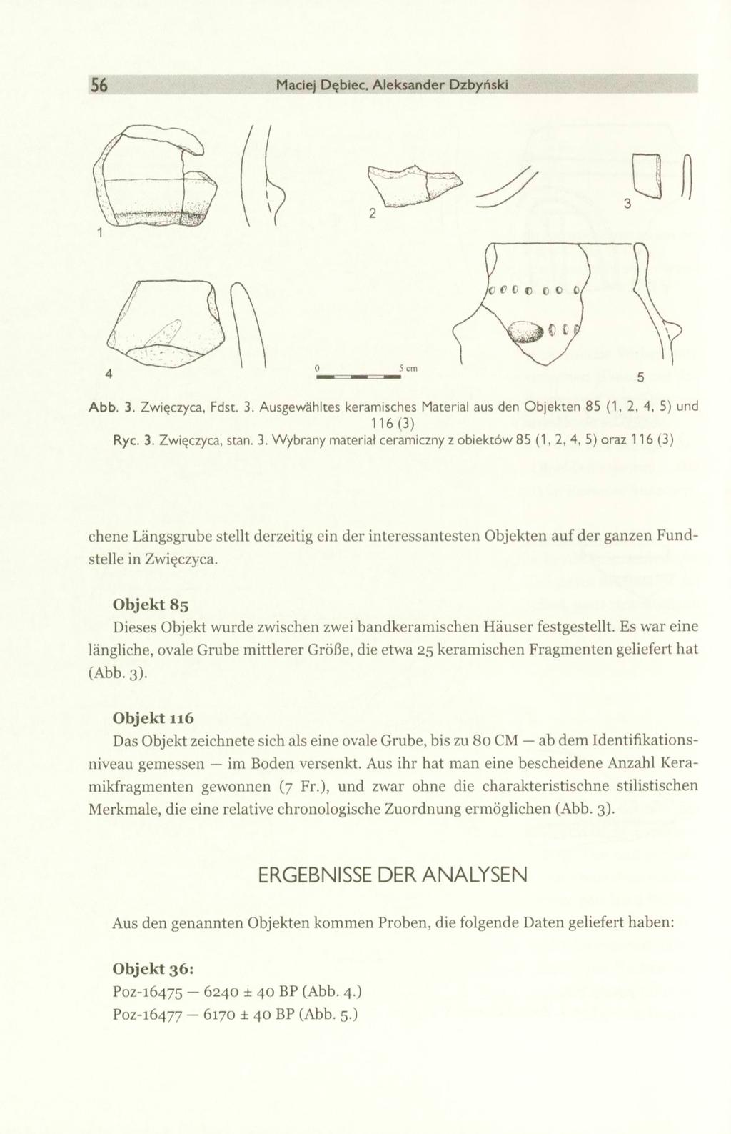 56 Maciej Dębiec, Aleksander Dzbyński Abb. 3.