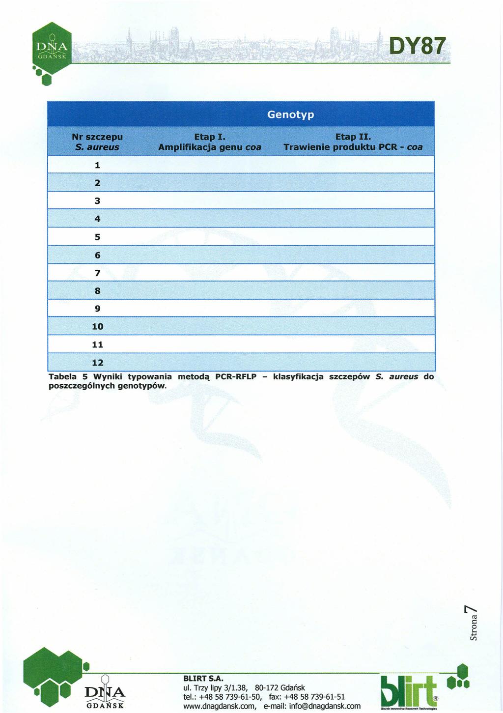 Genotyp Nr szczepu Etap I. Etap II. S.lIureus Amplifikacja genu COlI Trawienie produktu PeR - COlI 1 2 3 4 5 6 7 8 9 10 11 12 Tabela 5 WynikI.. typowania metodą PCR-RFLP - klasyfikacja szczepow S.