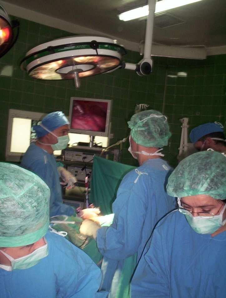 Rocznie w Szpitalu Zdunowo leczonych jest ponad 50 000 pacjentów, na bazie: - 9 oddziałów szpitalnych, w tym Oddziału Klinicznego