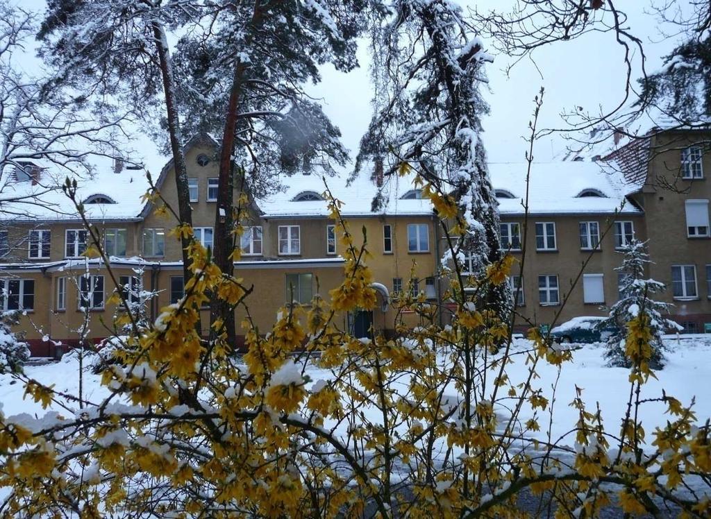 Specjalistyczny Szpital im. prof.