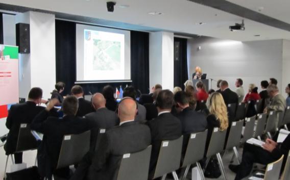 - projekty realizowane przez Gminę Pieńsk oraz Gminę Neißeaue w ramach programu Interreg III A, Funduszu Małych Projektów oraz Programu Operacyjnego Współpracy